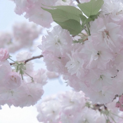 兽设天空场景绘制FurryQQ群